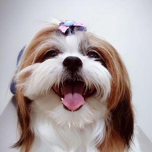 Meet your Posher, Fanny